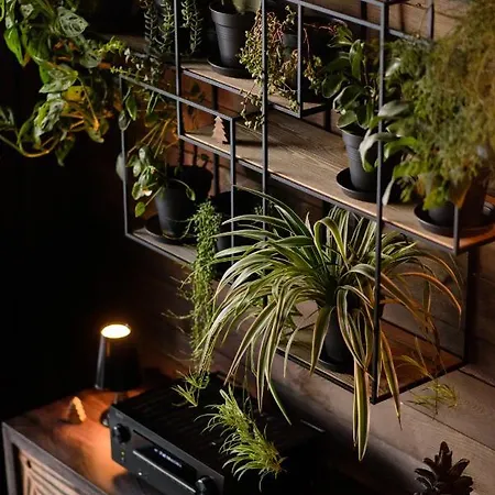 Aislamiento, Luxus Fahaz