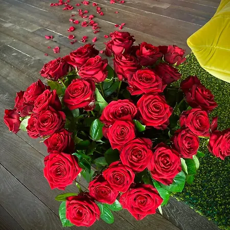 Aislamiento, Luxus Fahaz Zalaegerszeg