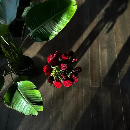 Villa Aislamiento, Luxus Fahaz