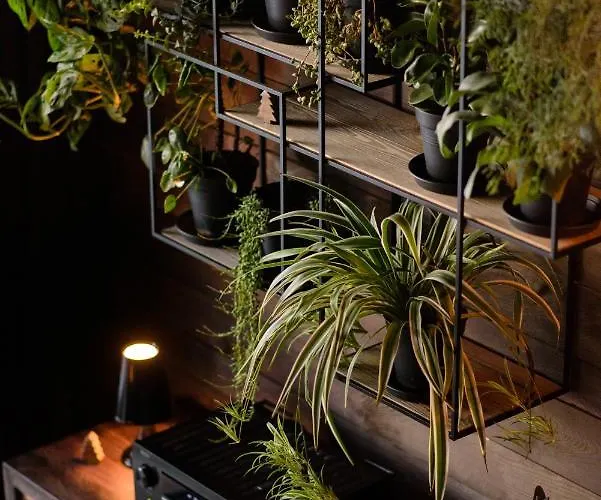 Aislamiento, Luxus Fahaz