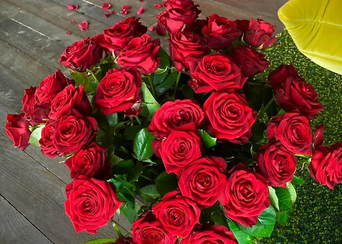 Aislamiento, Luxus Fahaz זלאגרסג