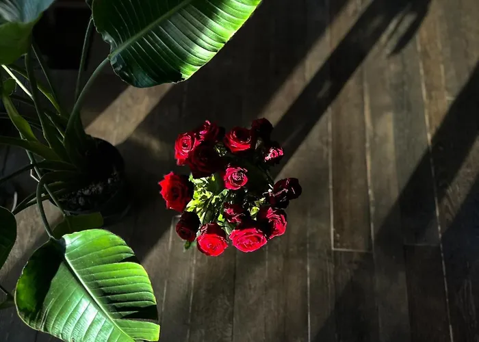 וילה Aislamiento, Luxus Fahaz